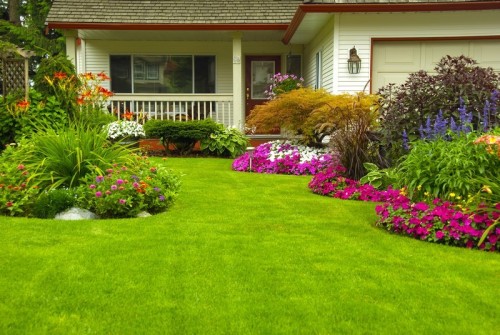 Dokonalý trávník vyžaduje dostatek péče po celý rok, zdroj: shutterstock.com